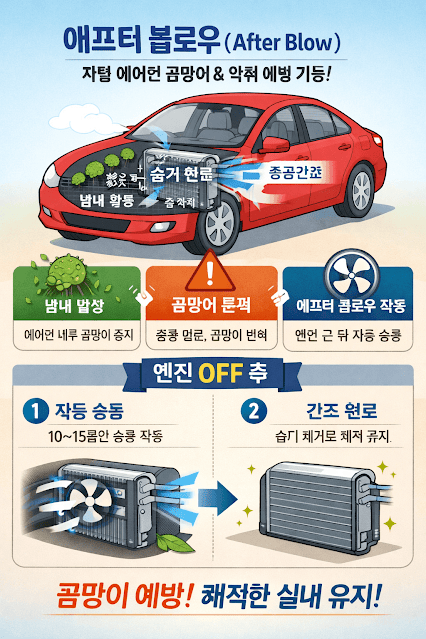 에어컨 곰팡이 걱정 끝내는 5가지 방법, 돈 안 들이고 시큼한 냄새 잡는 말리기 습관 에어컨 곰팡이 걱정 끝내는 5가지 방법, 돈 안 들이고 시큼한 냄새 잡는 말리기 습관