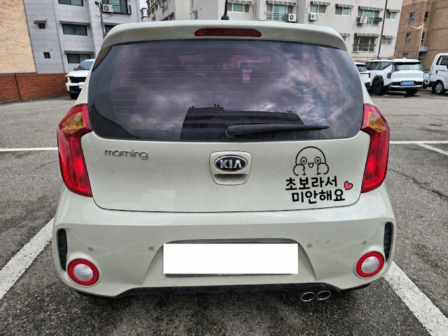 초보라서 미안해요 스티커